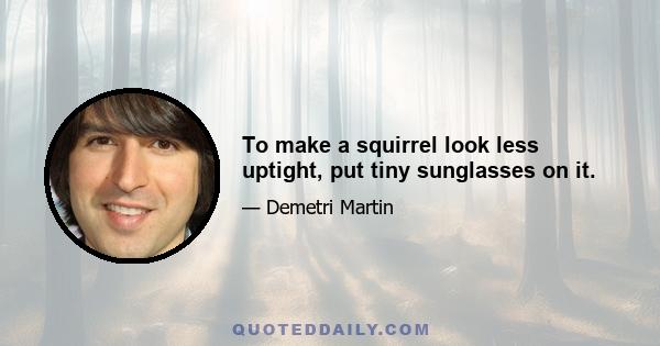 To make a squirrel look less uptight, put tiny sunglasses on it.