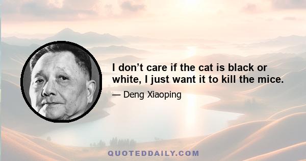 I don’t care if the cat is black or white, I just want it to kill the mice.