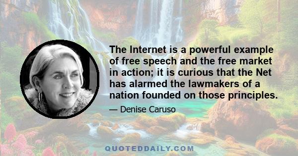 The Internet is a powerful example of free speech and the free market in action; it is curious that the Net has alarmed the lawmakers of a nation founded on those principles.