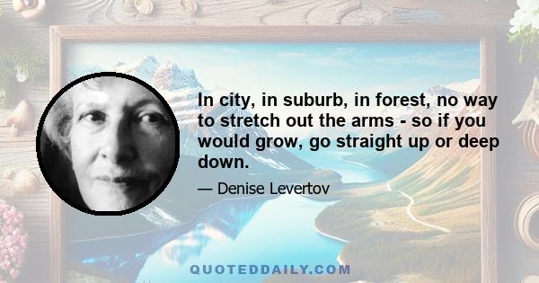 In city, in suburb, in forest, no way to stretch out the arms - so if you would grow, go straight up or deep down.