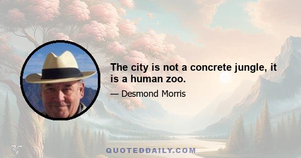 The city is not a concrete jungle, it is a human zoo.