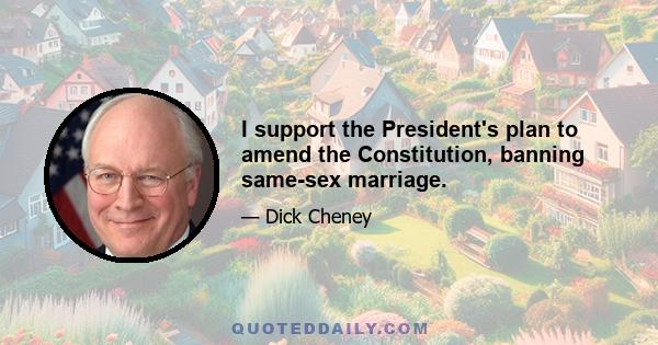 I support the President's plan to amend the Constitution, banning same-sex marriage.