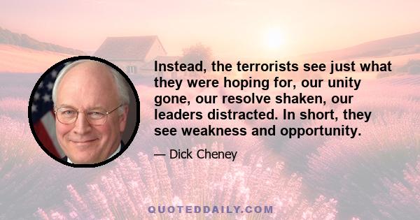 Instead, the terrorists see just what they were hoping for, our unity gone, our resolve shaken, our leaders distracted. In short, they see weakness and opportunity.