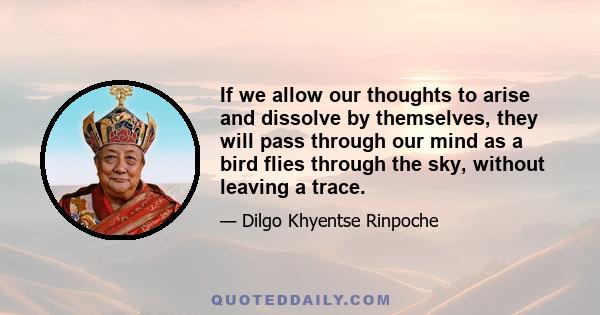 If we allow our thoughts to arise and dissolve by themselves, they will pass through our mind as a bird flies through the sky, without leaving a trace.