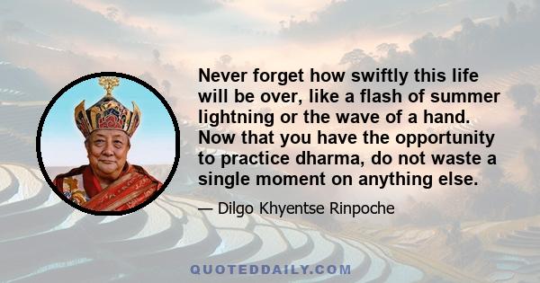 Never forget how swiftly this life will be over, like a flash of summer lightning or the wave of a hand. Now that you have the opportunity to practice dharma, do not waste a single moment on anything else.