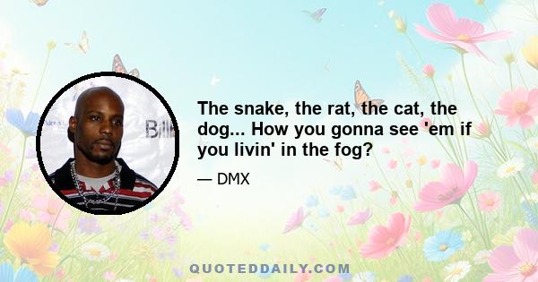 The snake, the rat, the cat, the dog... How you gonna see 'em if you livin' in the fog?