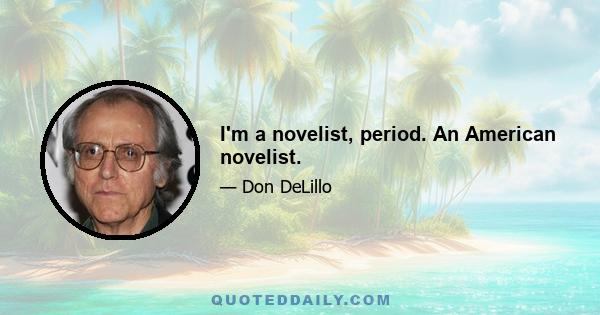 I'm a novelist, period. An American novelist.