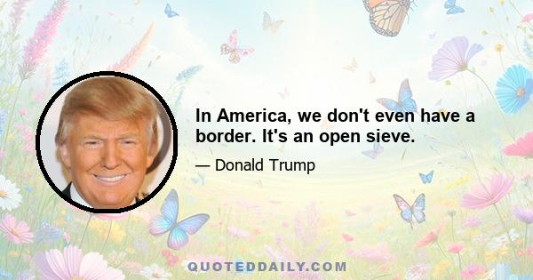 In America, we don't even have a border. It's an open sieve.