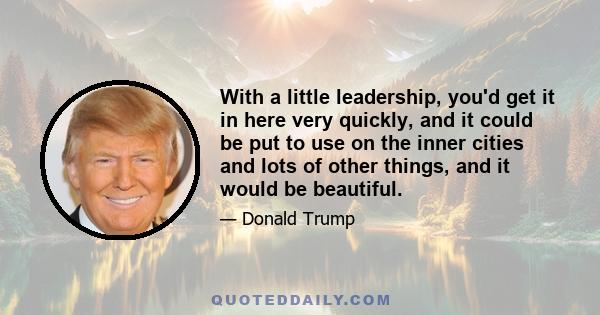 With a little leadership, you'd get it in here very quickly, and it could be put to use on the inner cities and lots of other things, and it would be beautiful.