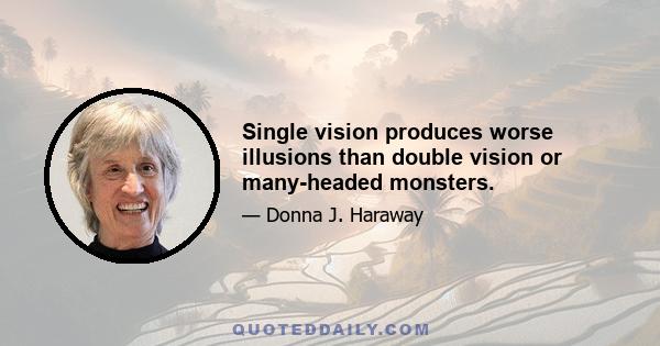 Single vision produces worse illusions than double vision or many-headed monsters.