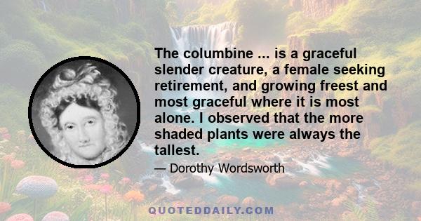 The columbine ... is a graceful slender creature, a female seeking retirement, and growing freest and most graceful where it is most alone. I observed that the more shaded plants were always the tallest.