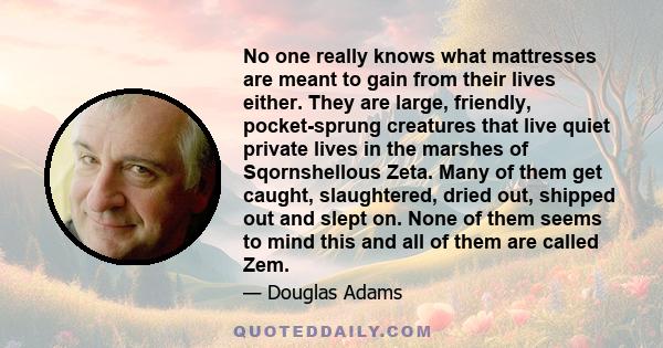 No one really knows what mattresses are meant to gain from their lives either. They are large, friendly, pocket-sprung creatures that live quiet private lives in the marshes of Sqornshellous Zeta. Many of them get