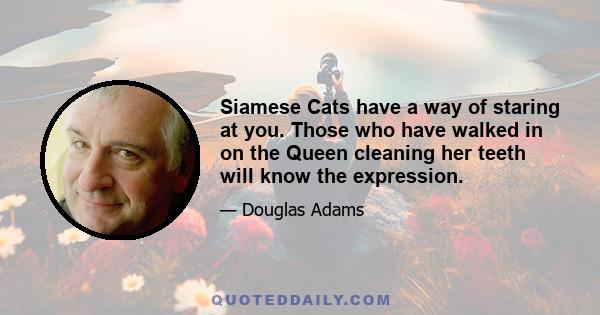 Siamese Cats have a way of staring at you. Those who have walked in on the Queen cleaning her teeth will know the expression.