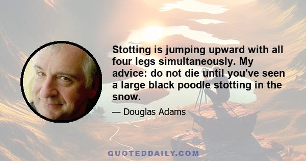 Stotting is jumping upward with all four legs simultaneously. My advice: do not die until you've seen a large black poodle stotting in the snow.