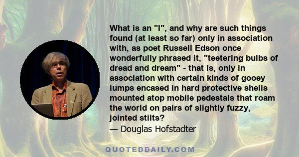 What is an I, and why are such things found (at least so far) only in association with, as poet Russell Edson once wonderfully phrased it, teetering bulbs of dread and dream - that is, only in association with certain