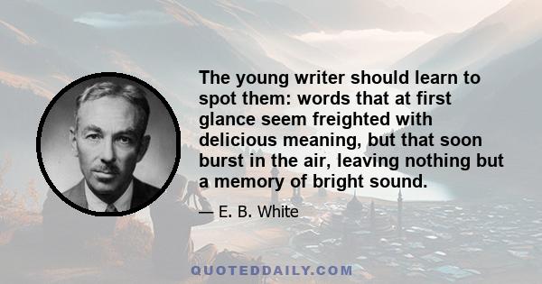 The young writer should learn to spot them: words that at first glance seem freighted with delicious meaning, but that soon burst in the air, leaving nothing but a memory of bright sound.