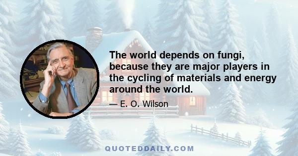 The world depends on fungi, because they are major players in the cycling of materials and energy around the world.