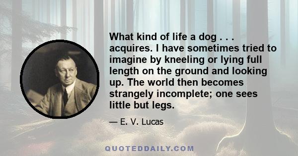 What kind of life a dog . . . acquires. I have sometimes tried to imagine by kneeling or lying full length on the ground and looking up. The world then becomes strangely incomplete; one sees little but legs.