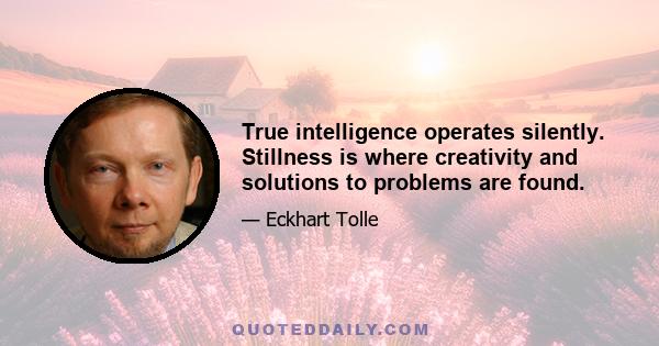 True intelligence operates silently. Stillness is where creativity and solutions to problems are found.