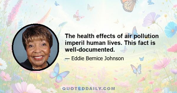 The health effects of air pollution imperil human lives. This fact is well-documented.