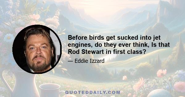 Before birds get sucked into jet engines, do they ever think, Is that Rod Stewart in first class?