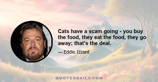 Cats have a scam going - you buy the food, they eat the food, they go away; that's the deal.