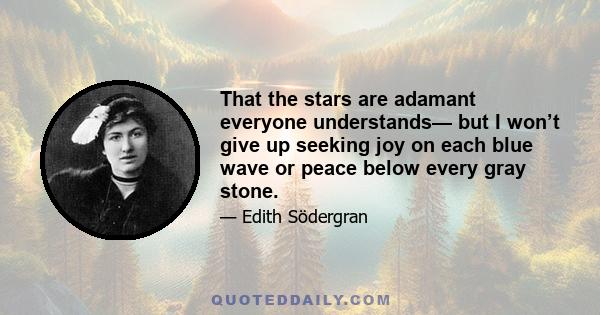 That the stars are adamant everyone understands— but I won’t give up seeking joy on each blue wave or peace below every gray stone.