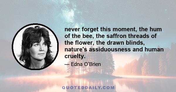 never forget this moment, the hum of the bee, the saffron threads of the flower, the drawn blinds, nature's assiduousness and human cruelty.