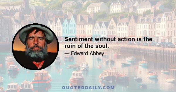 Sentiment without action is the ruin of the soul.