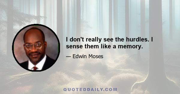 I don't really see the hurdles. I sense them like a memory.