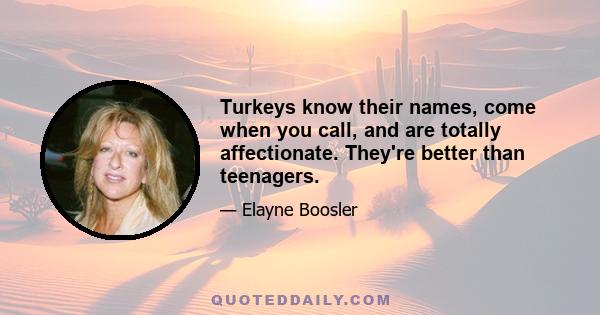 Turkeys know their names, come when you call, and are totally affectionate. They're better than teenagers.