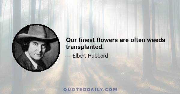 Our finest flowers are often weeds transplanted.