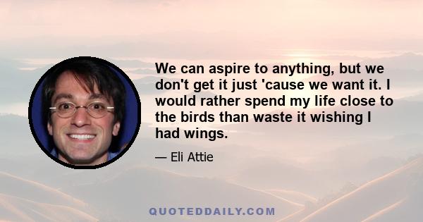 We can aspire to anything, but we don't get it just 'cause we want it. I would rather spend my life close to the birds than waste it wishing I had wings.