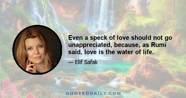 Even a speck of love should not go unappreciated, because, as Rumi said, love is the water of life.