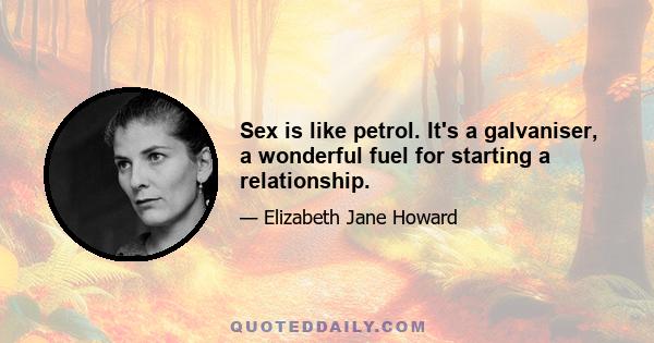 Sex is like petrol. It's a galvaniser, a wonderful fuel for starting a relationship.