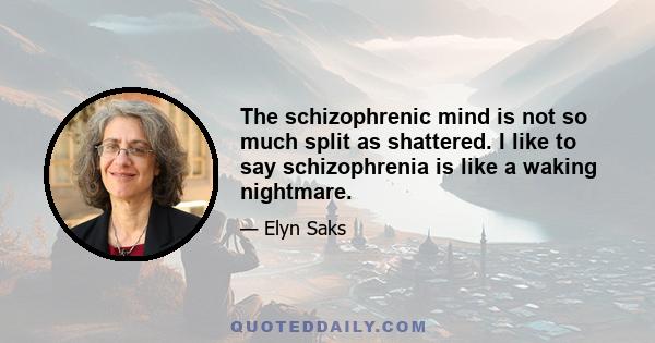 The schizophrenic mind is not so much split as shattered. I like to say schizophrenia is like a waking nightmare.