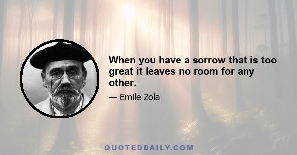 When you have a sorrow that is too great it leaves no room for any other.
