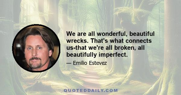 We are all wonderful, beautiful wrecks. That's what connects us-that we're all broken, all beautifully imperfect.