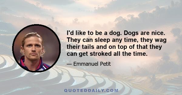 I'd like to be a dog. Dogs are nice. They can sleep any time, they wag their tails and on top of that they can get stroked all the time.