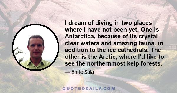 I dream of diving in two places where I have not been yet. One is Antarctica, because of its crystal clear waters and amazing fauna, in addition to the ice cathedrals. The other is the Arctic, where I'd like to see the