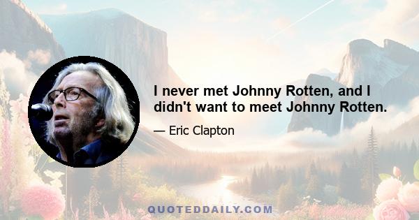 I never met Johnny Rotten, and I didn't want to meet Johnny Rotten.