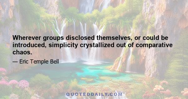 Wherever groups disclosed themselves, or could be introduced, simplicity crystallized out of comparative chaos.