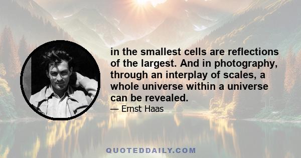 in the smallest cells are reflections of the largest. And in photography, through an interplay of scales, a whole universe within a universe can be revealed.