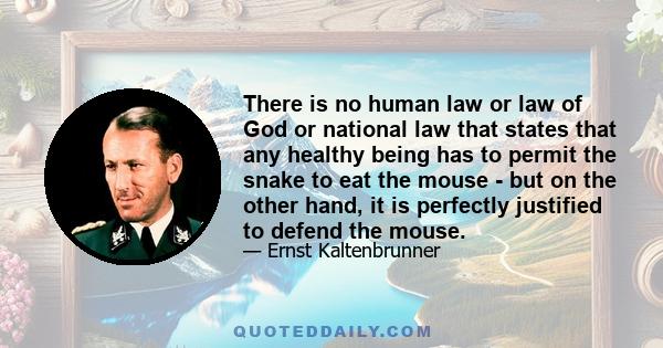 There is no human law or law of God or national law that states that any healthy being has to permit the snake to eat the mouse - but on the other hand, it is perfectly justified to defend the mouse.