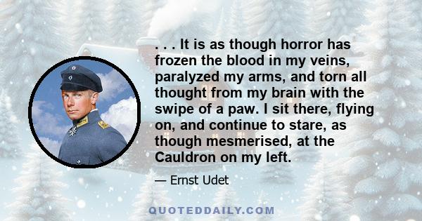 . . . It is as though horror has frozen the blood in my veins, paralyzed my arms, and torn all thought from my brain with the swipe of a paw. I sit there, flying on, and continue to stare, as though mesmerised, at the