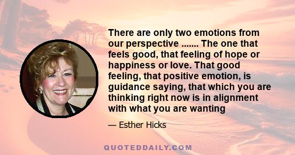 There are only two emotions from our perspective ....... The one that feels good, that feeling of hope or happiness or love. That good feeling, that positive emotion, is guidance saying, that which you are thinking