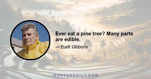 Ever eat a pine tree? Many parts are edible.