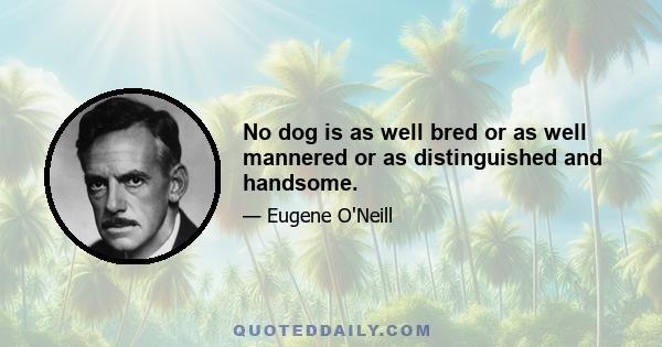 No dog is as well bred or as well mannered or as distinguished and handsome.