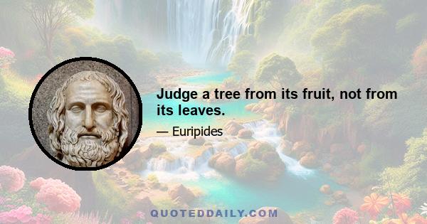 Judge a tree from its fruit, not from its leaves.