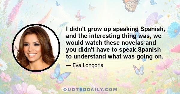 I didn't grow up speaking Spanish, and the interesting thing was, we would watch these novelas and you didn't have to speak Spanish to understand what was going on.